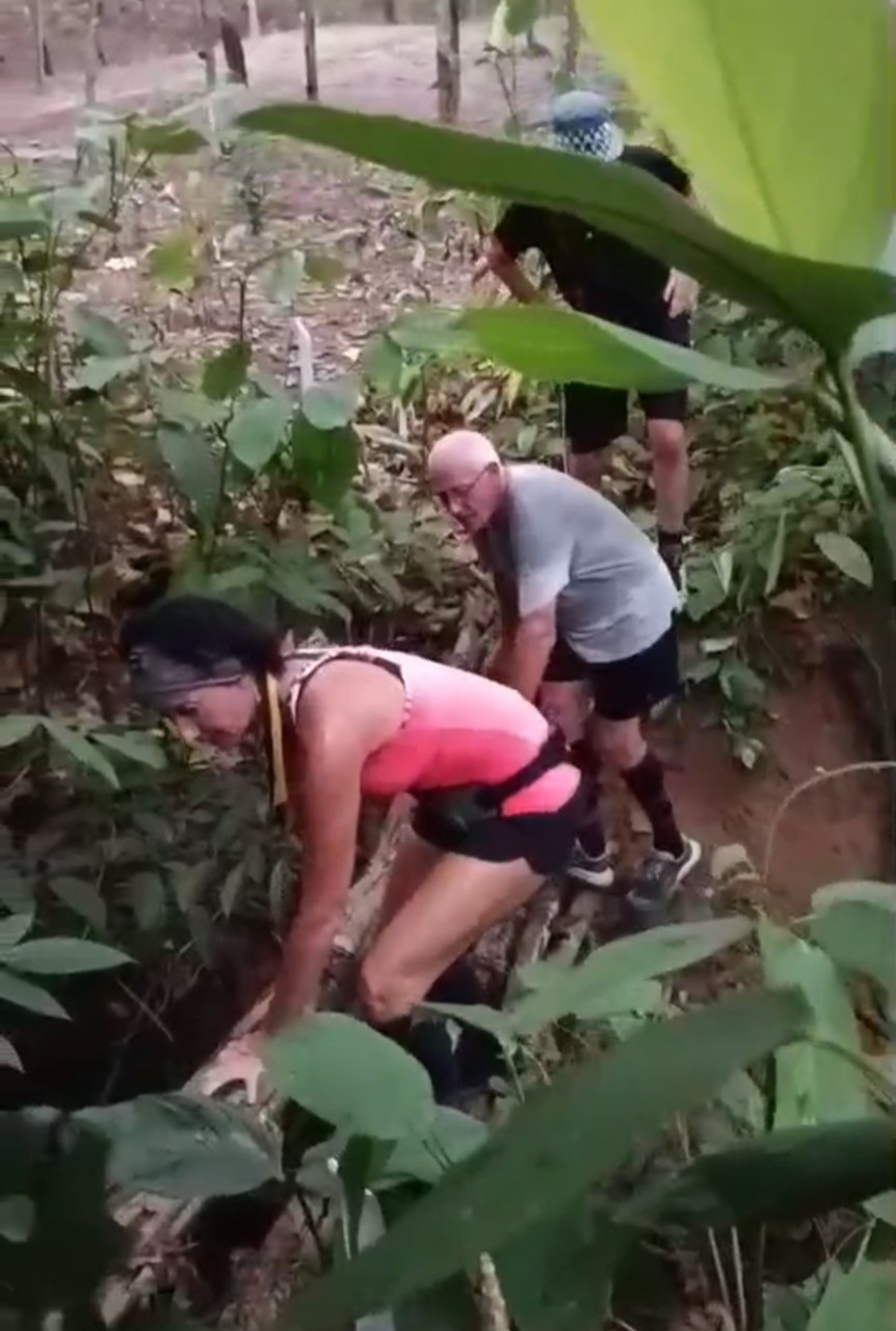 LINE_ALBUM_GM's album PJH3 run_ 527_241011_100