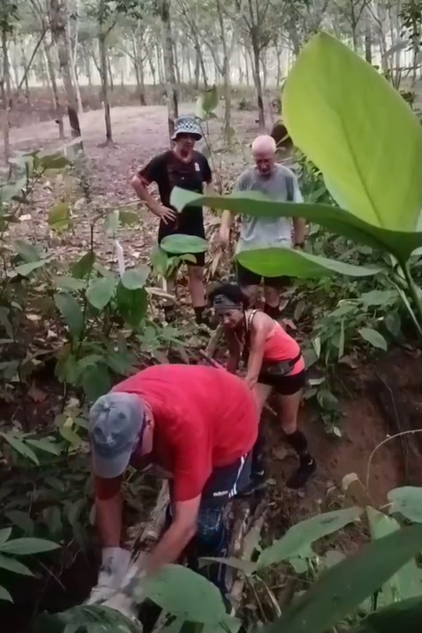 LINE_ALBUM_GM's album PJH3 run_ 527_241011_101