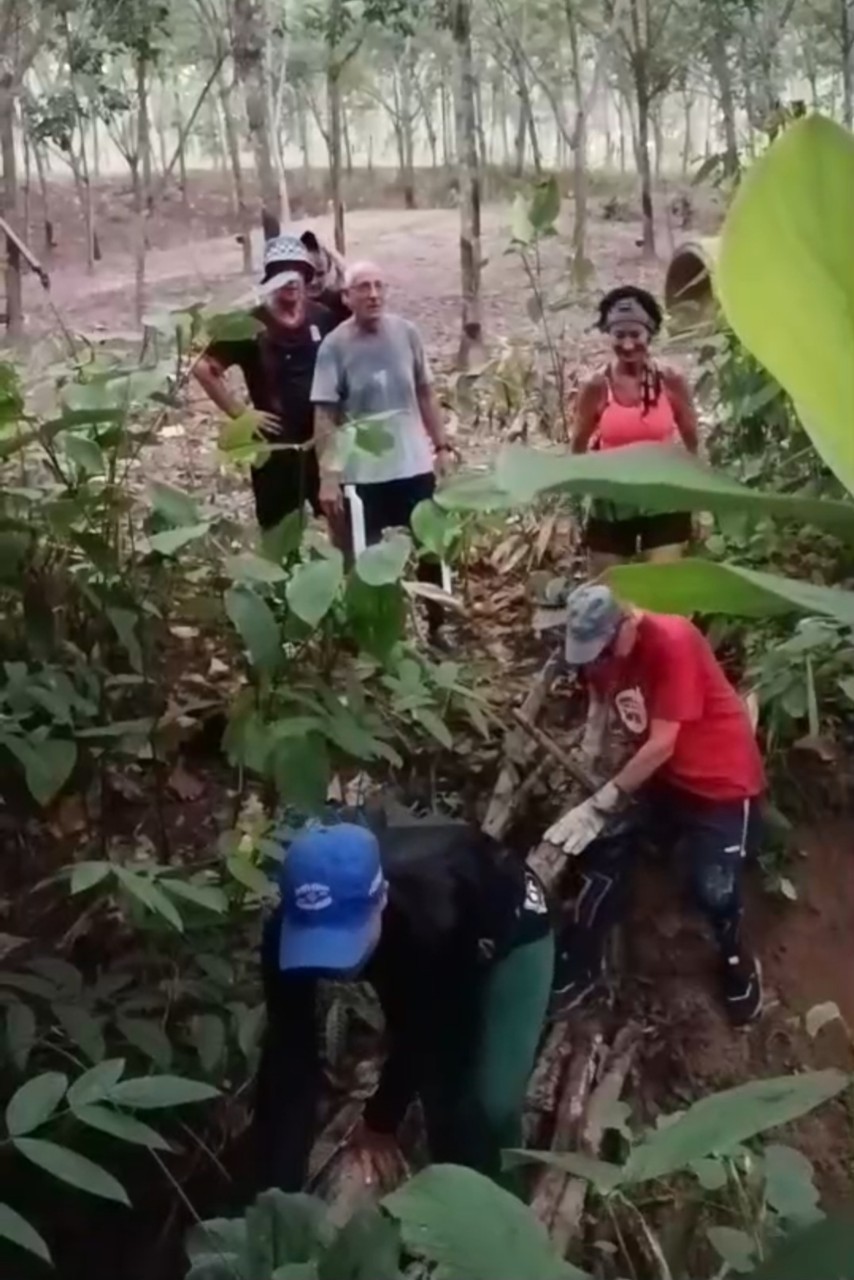 LINE_ALBUM_GM's album PJH3 run_ 527_241011_102