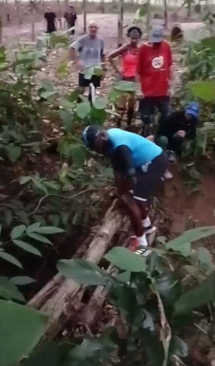 LINE_ALBUM_GM's album PJH3 run_ 527_241011_103