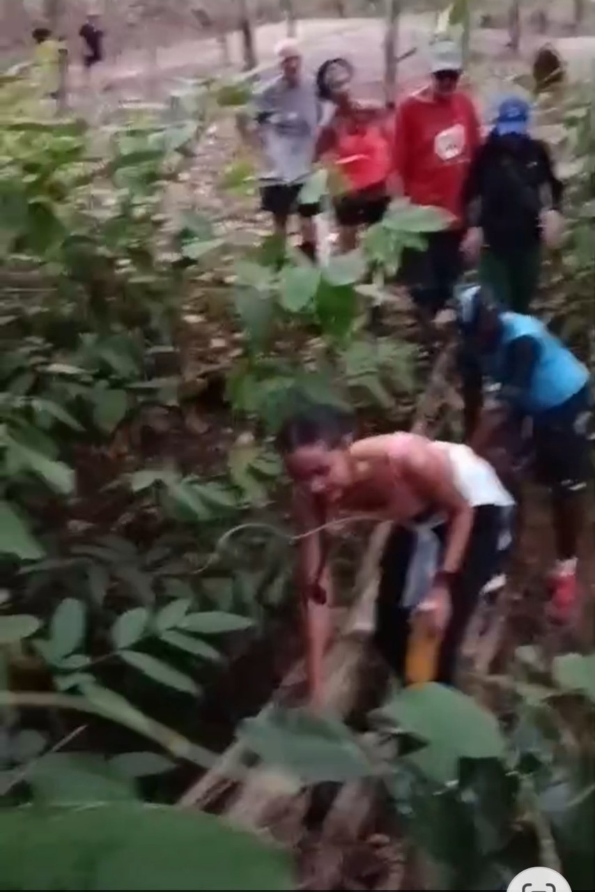 LINE_ALBUM_GM's album PJH3 run_ 527_241011_104