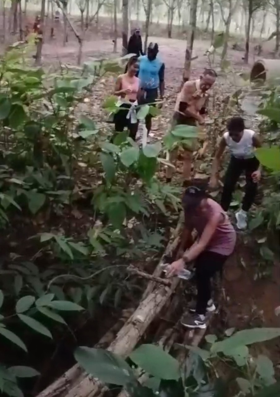 LINE_ALBUM_GM's album PJH3 run_ 527_241011_108