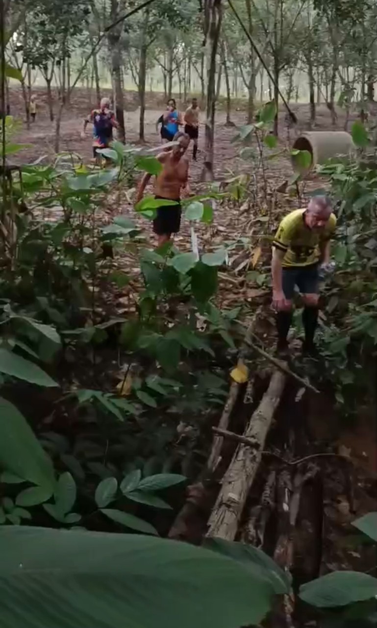 LINE_ALBUM_GM's album PJH3 run_ 527_241011_110