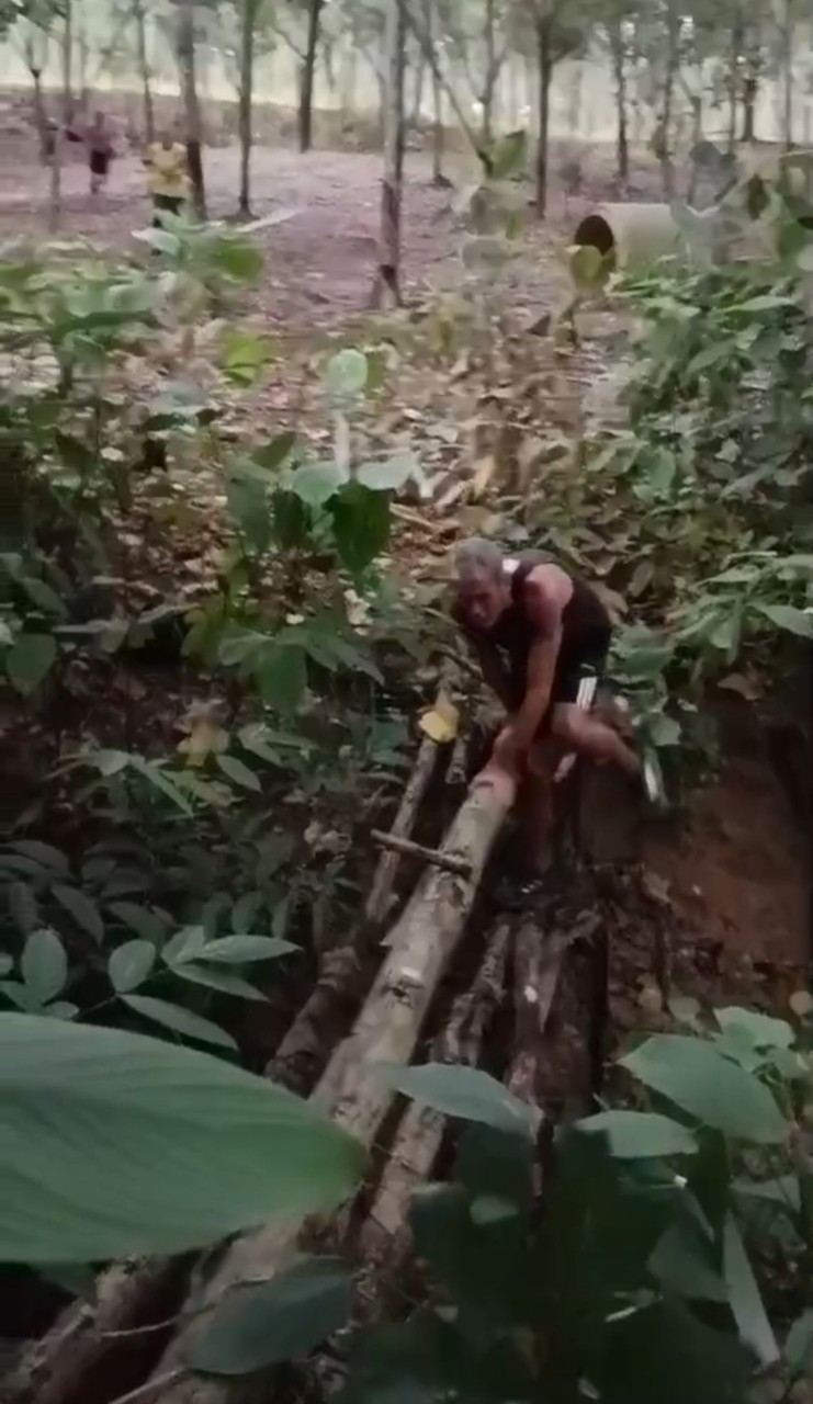 LINE_ALBUM_GM's album PJH3 run_ 527_241011_111