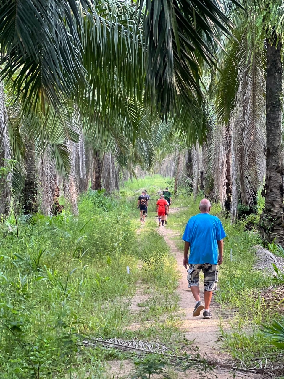 LINE_ALBUM_GM's album PJH3 run_ 527_241011_113