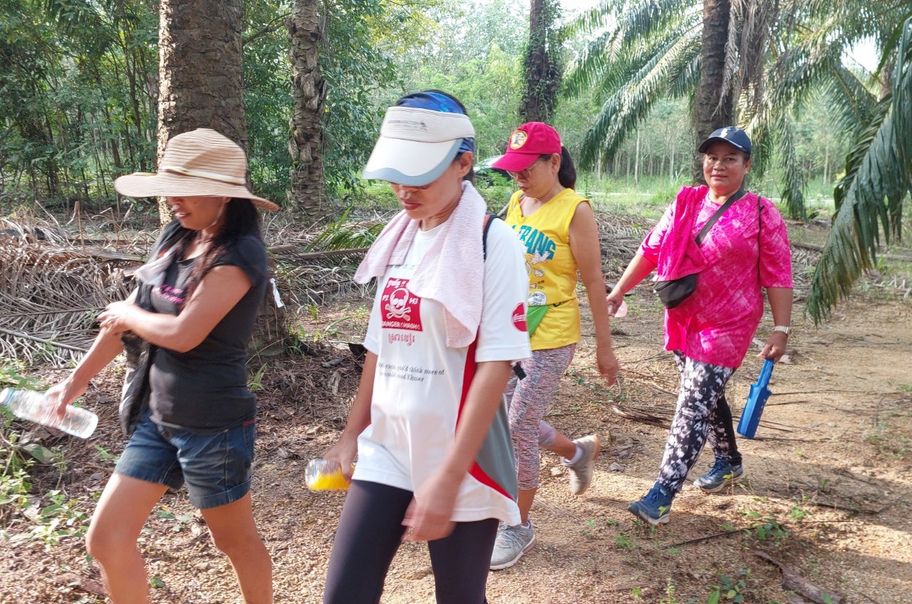 LINE_ALBUM_GM's album PJH3 run_ 527_241011_117