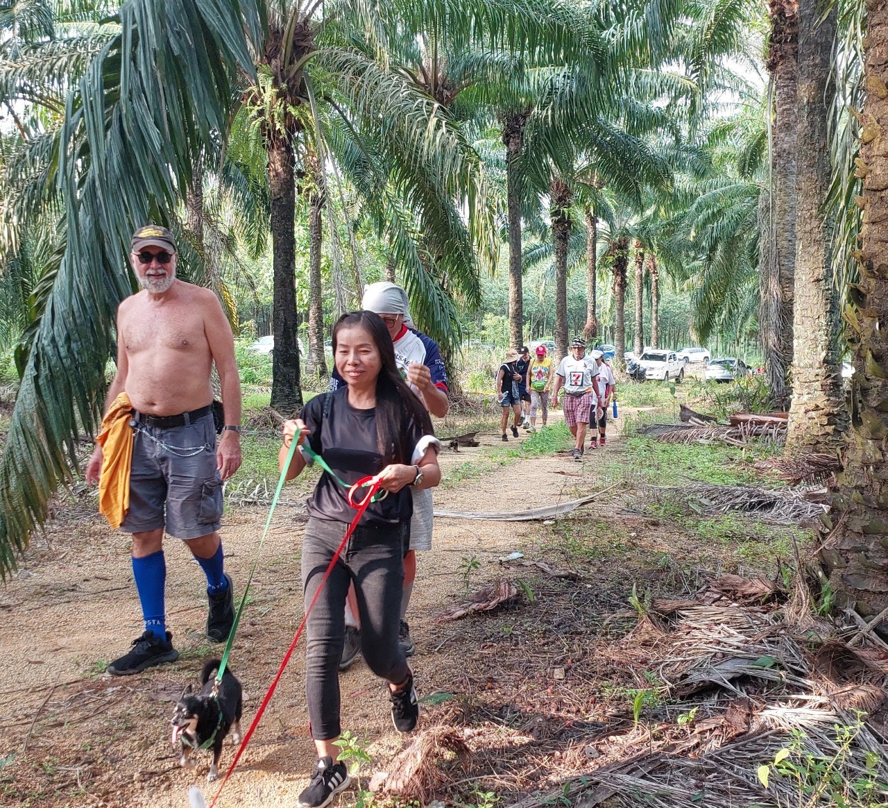 LINE_ALBUM_GM's album PJH3 run_ 527_241011_122