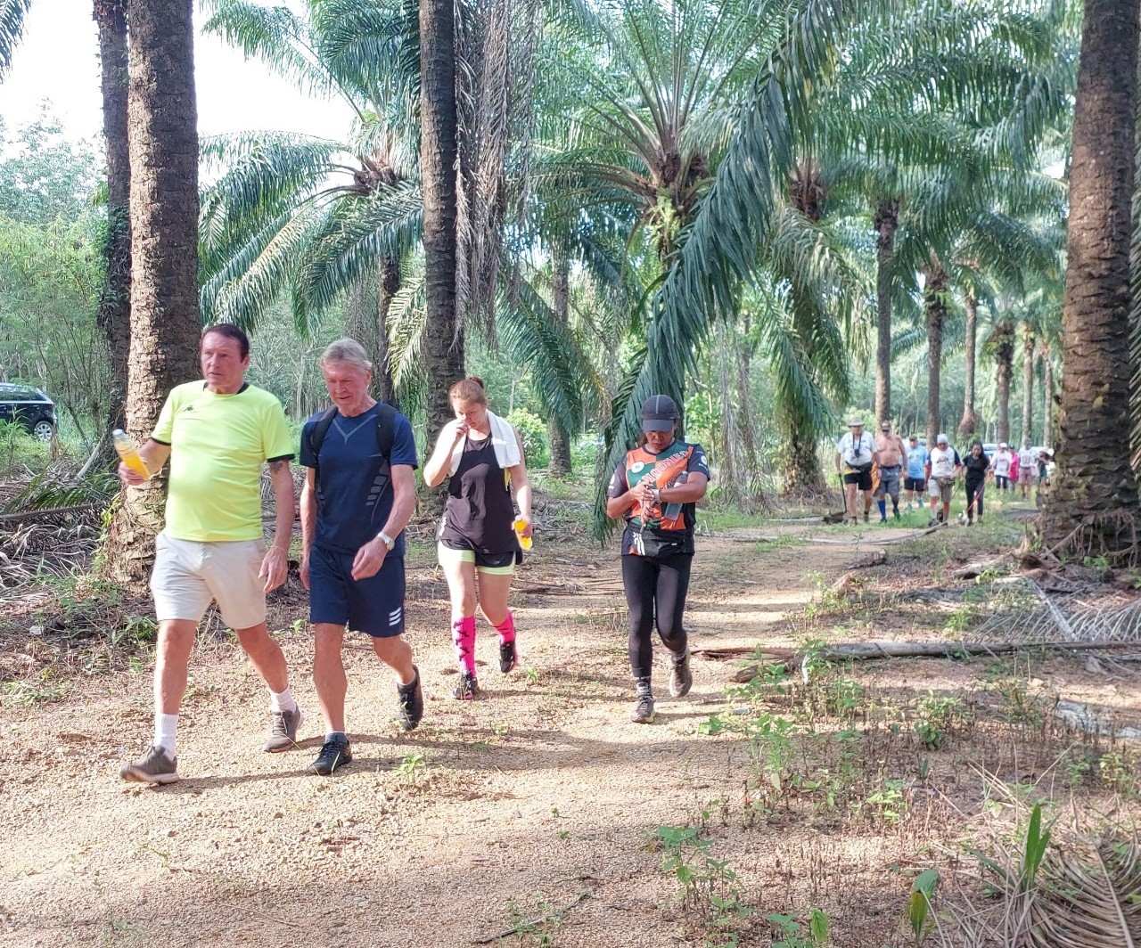 LINE_ALBUM_GM's album PJH3 run_ 527_241011_124