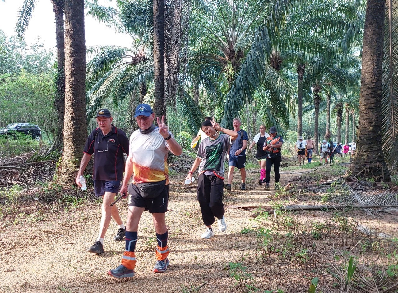 LINE_ALBUM_GM's album PJH3 run_ 527_241011_125