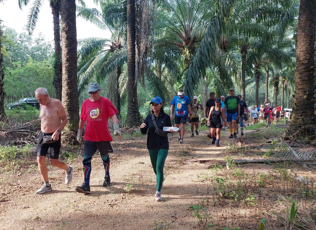 LINE_ALBUM_GM's album PJH3 run_ 527_241011_135