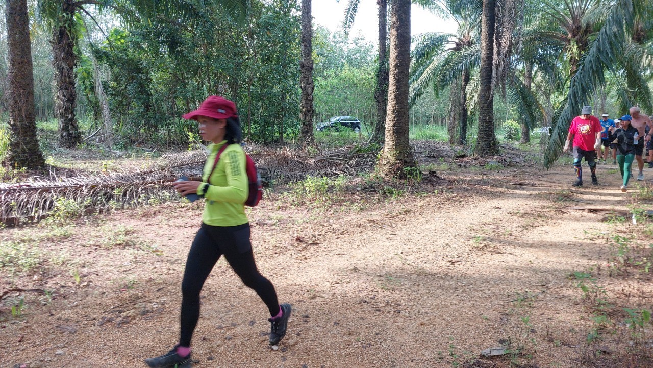 LINE_ALBUM_GM's album PJH3 run_ 527_241011_136