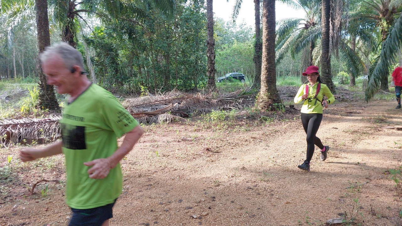 LINE_ALBUM_GM's album PJH3 run_ 527_241011_137