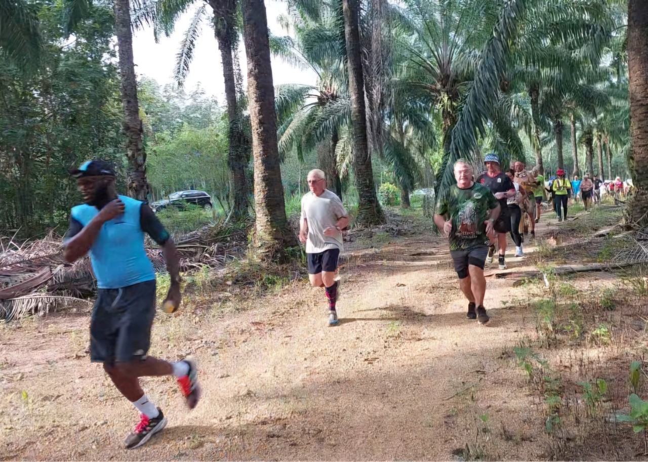 LINE_ALBUM_GM's album PJH3 run_ 527_241011_144