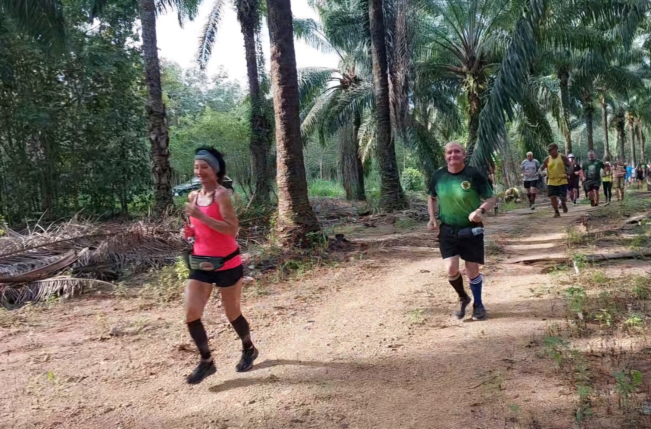 LINE_ALBUM_GM's album PJH3 run_ 527_241011_146