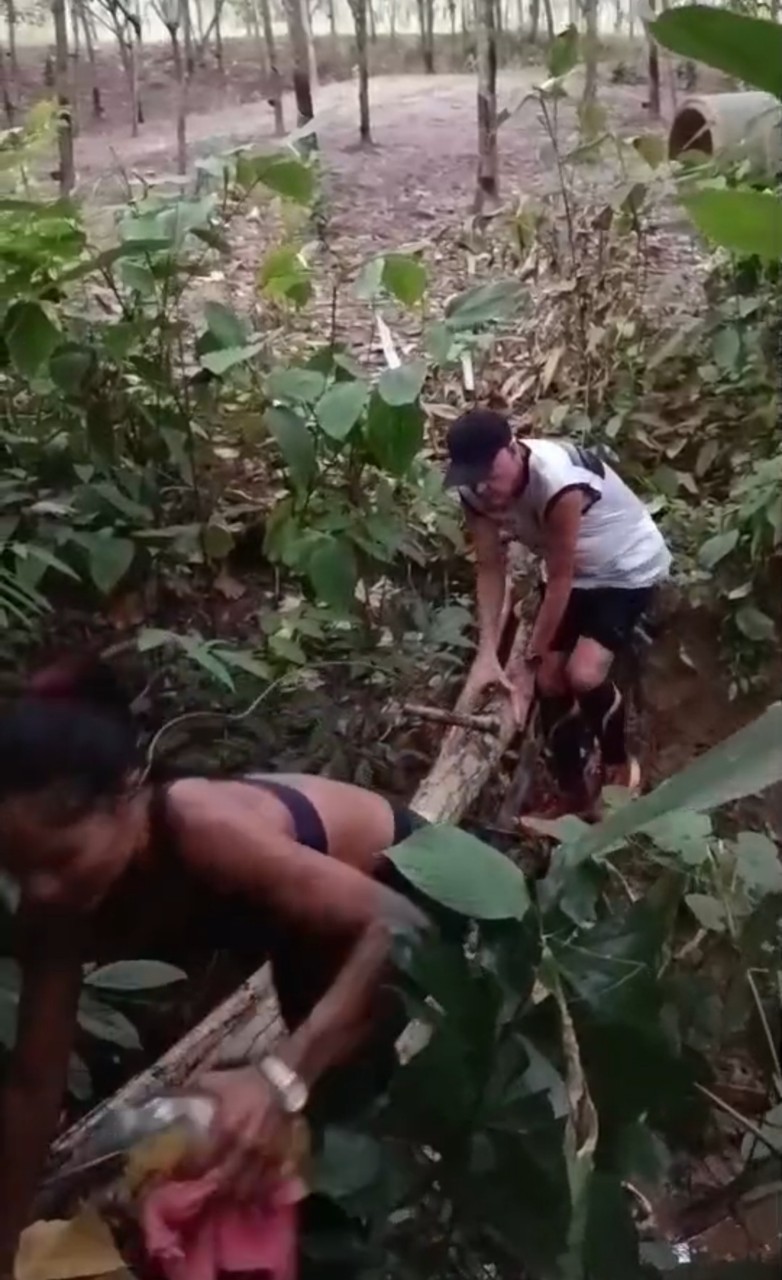 LINE_ALBUM_GM's album PJH3 run_ 527_241011_95