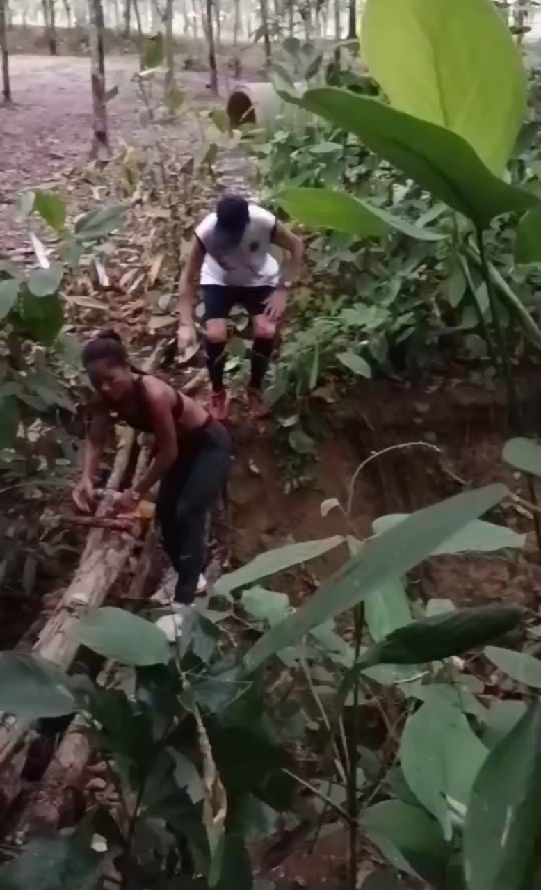 LINE_ALBUM_GM's album PJH3 run_ 527_241011_96