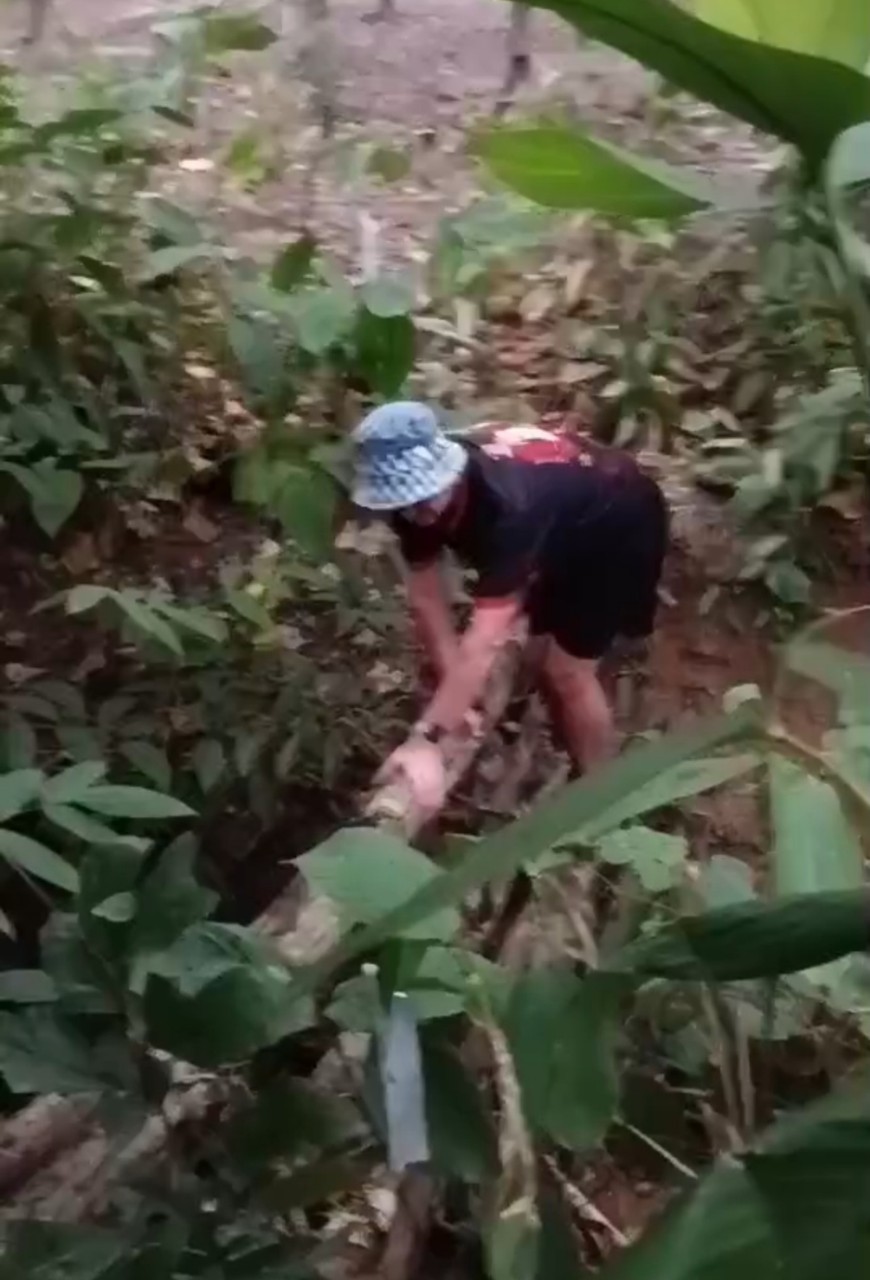 LINE_ALBUM_GM's album PJH3 run_ 527_241011_99